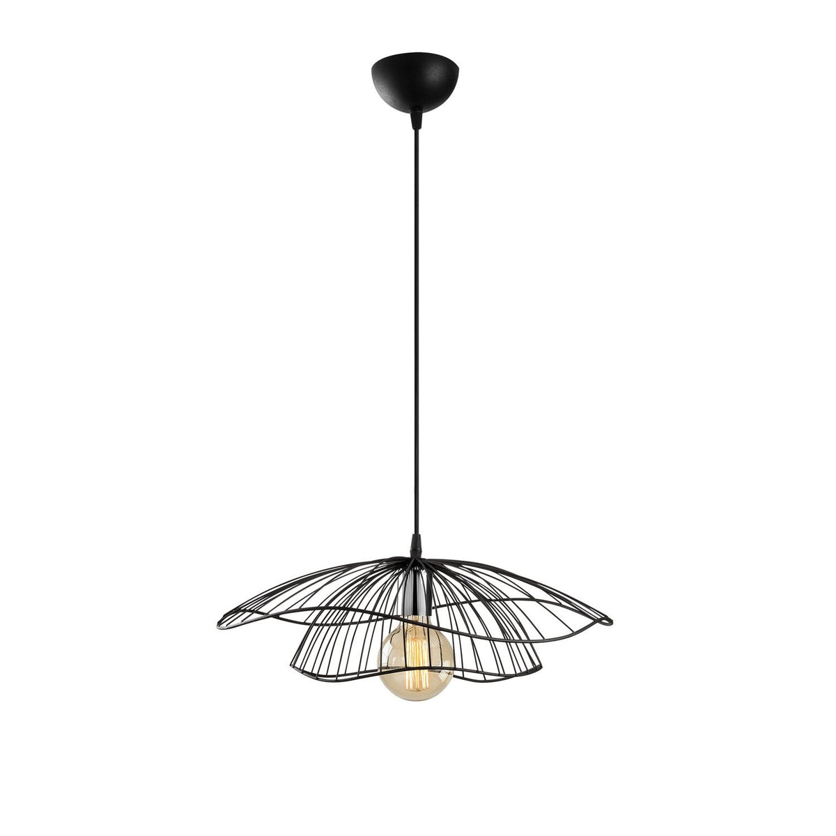 Rani Home Avize Siyah  AA-5951