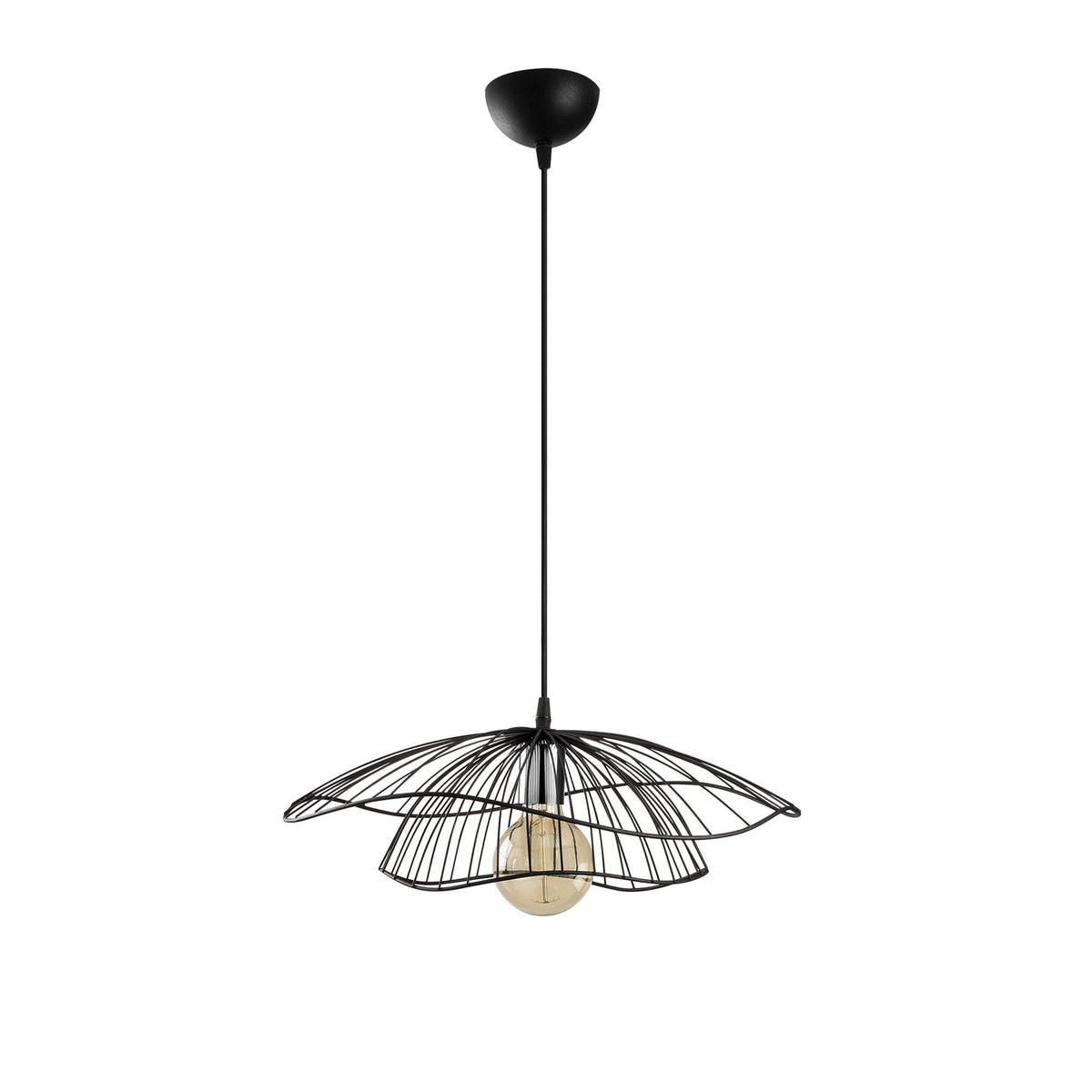Rani Home Avize Siyah  AA-5951