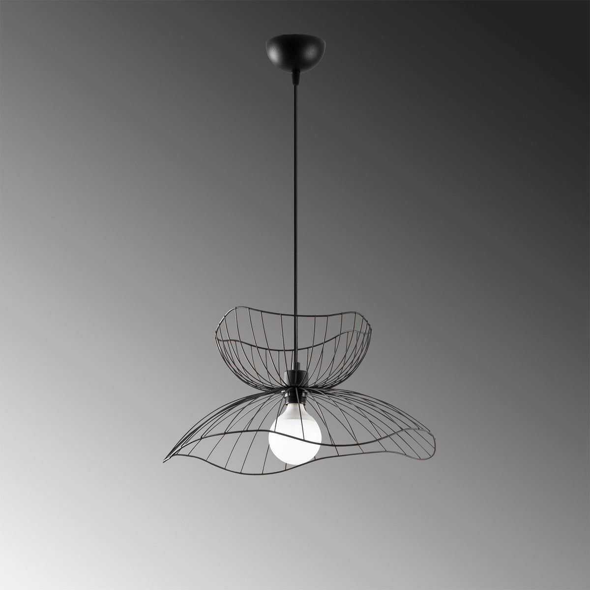 Rani Home Avize Siyah  AA-6067