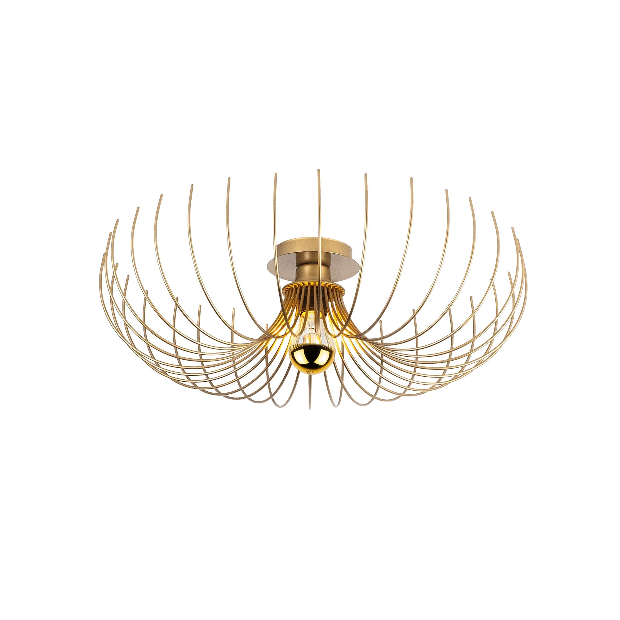Rani Home Avize Altın  AA-5974