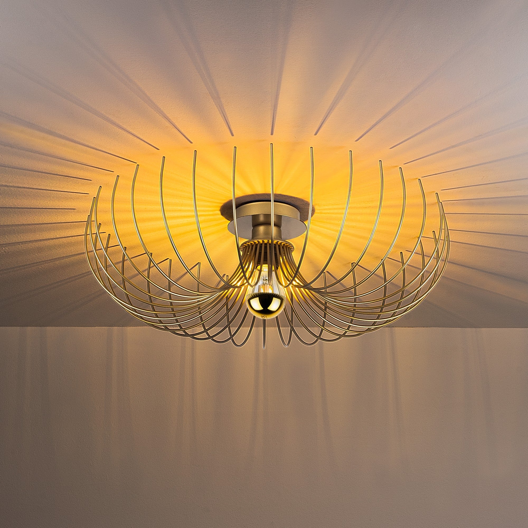 Rani Home Avize Altın  AA-5974