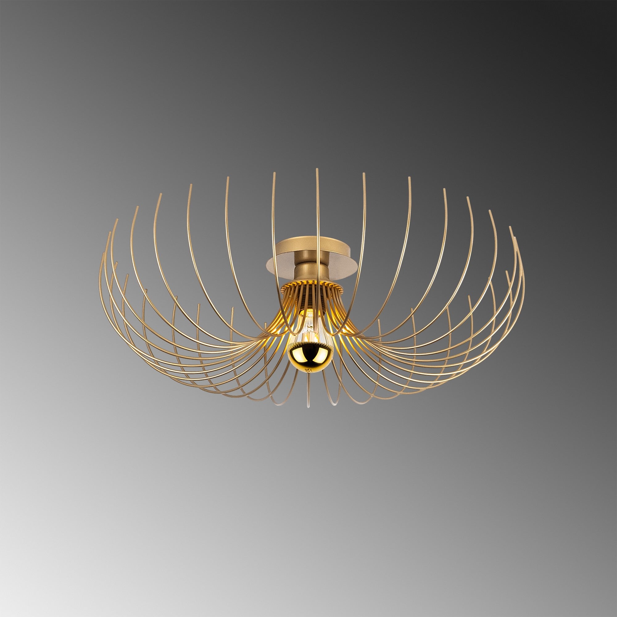 Rani Home Avize Altın  AA-5974