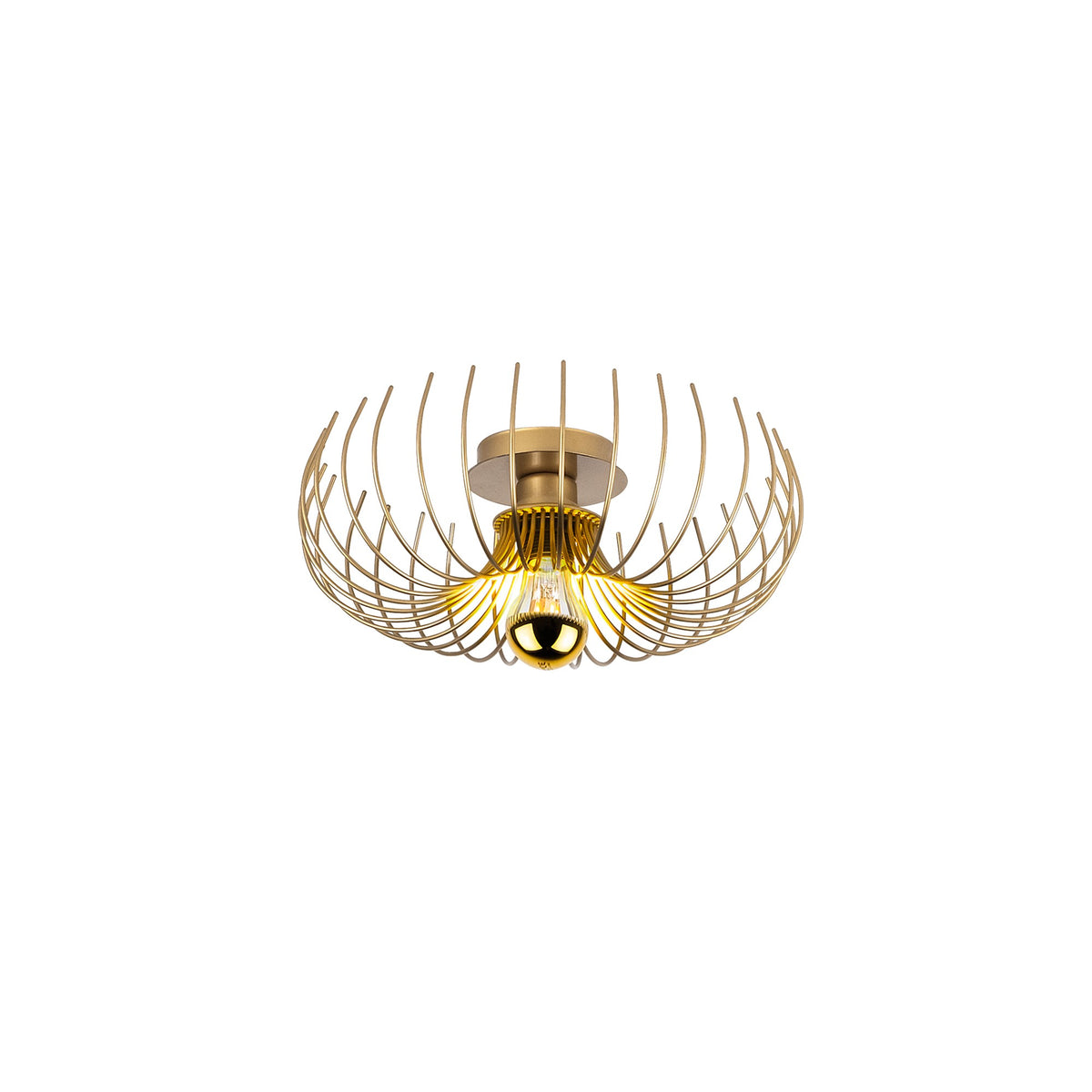 Rani Home Avize Altın  AA-5962