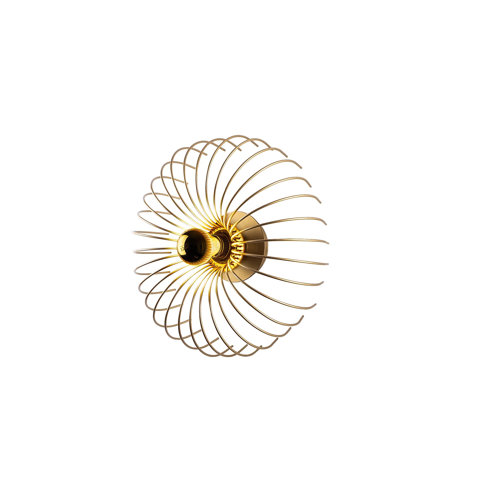 Rani Home Duvar Lambası Altın EA-5993