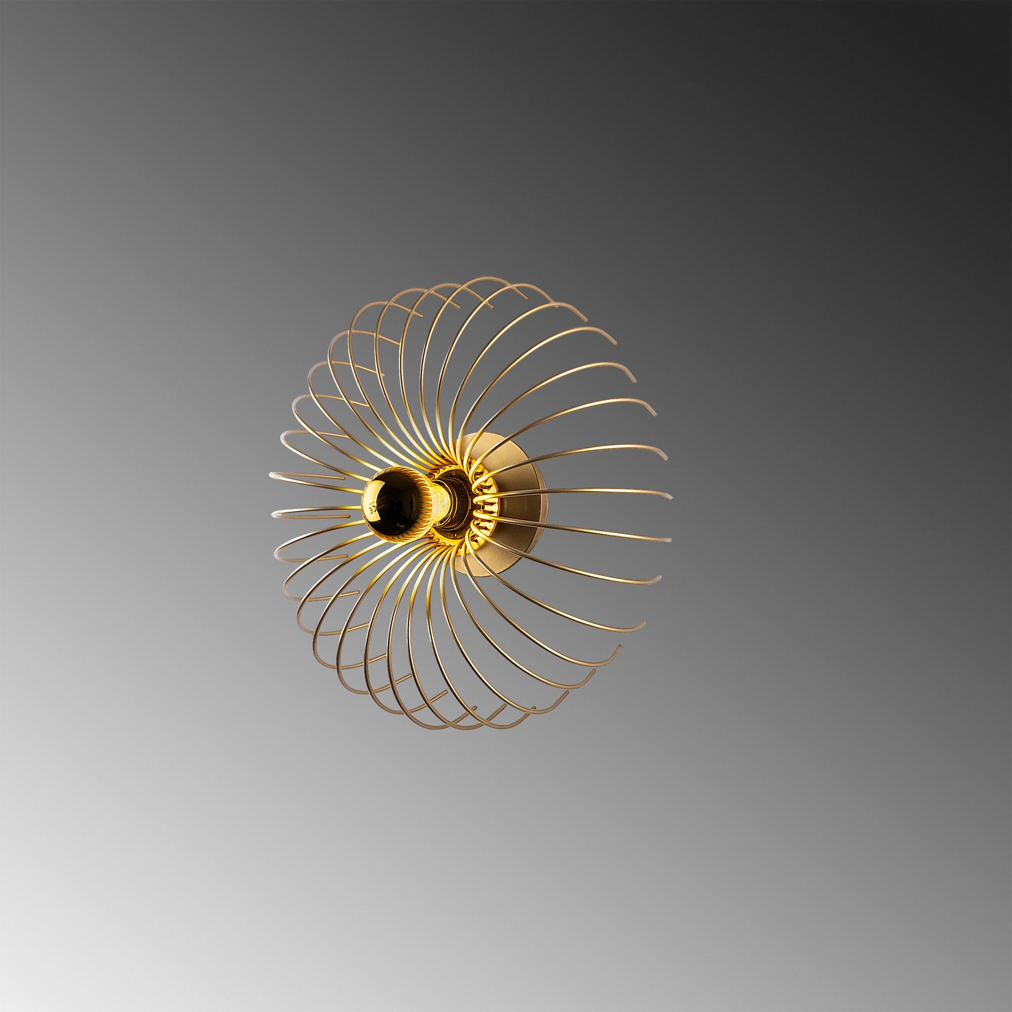 Rani Home Duvar Lambası Altın EA-5993