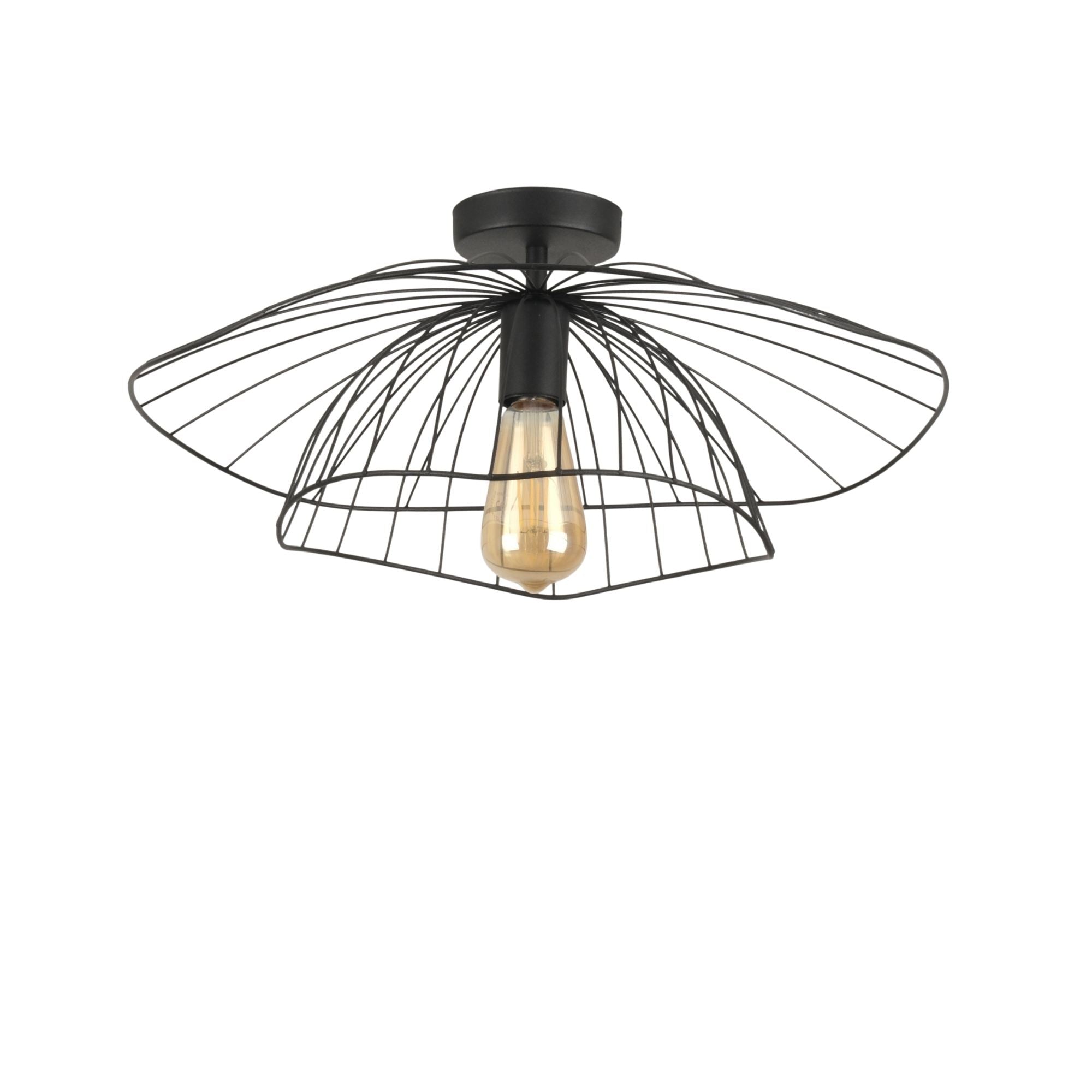 Rani Home Avize Siyah  AA-5949